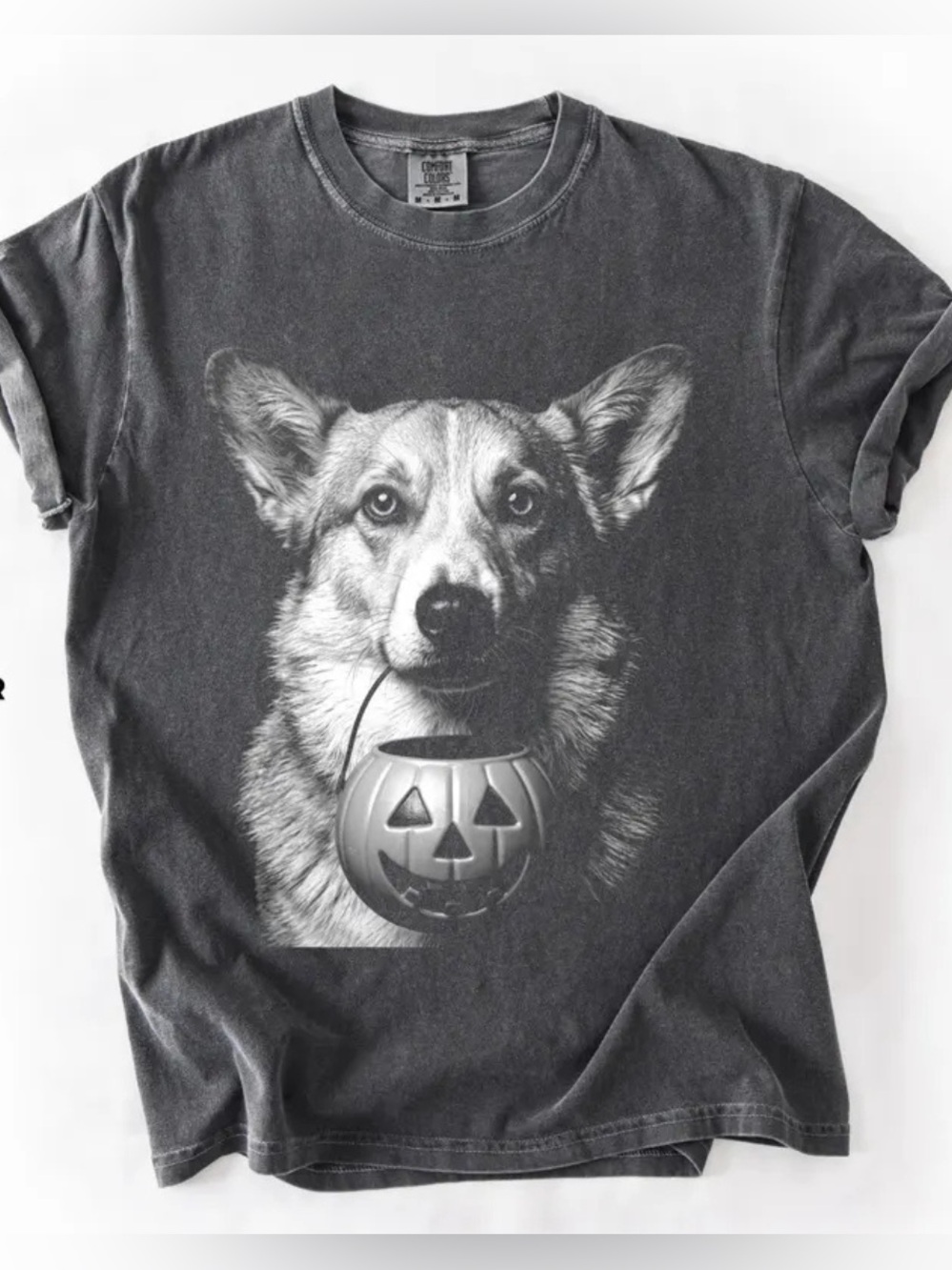 Comfort Corgi Pumpkin Graphic Dog Tee Unisex, Shirt For Lover Dog
